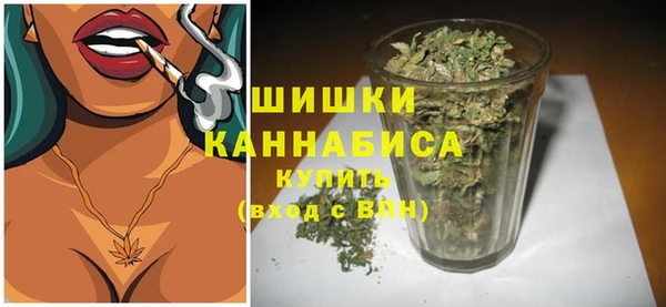 mdpv Лабытнанги
