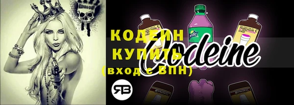 дмт Ладушкин