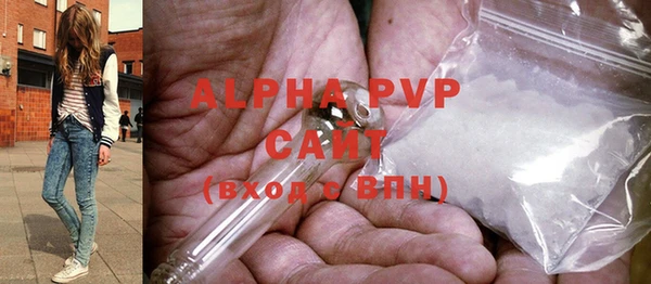 дмт Ладушкин