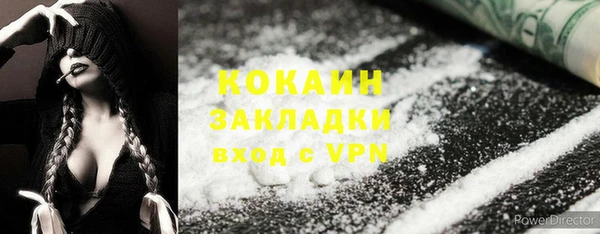 дмт Ладушкин