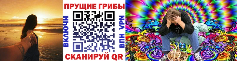Псилоцибиновые грибы прущие грибы  продажа наркотиков  mega онион  Кирсанов 